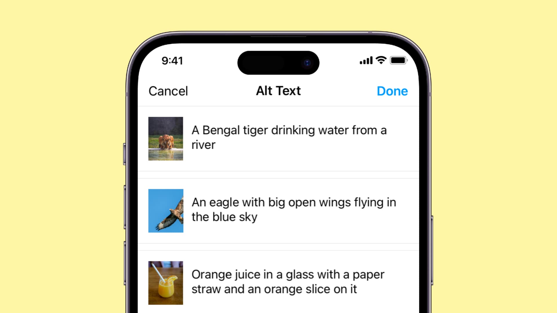 Instagram posts with alt text